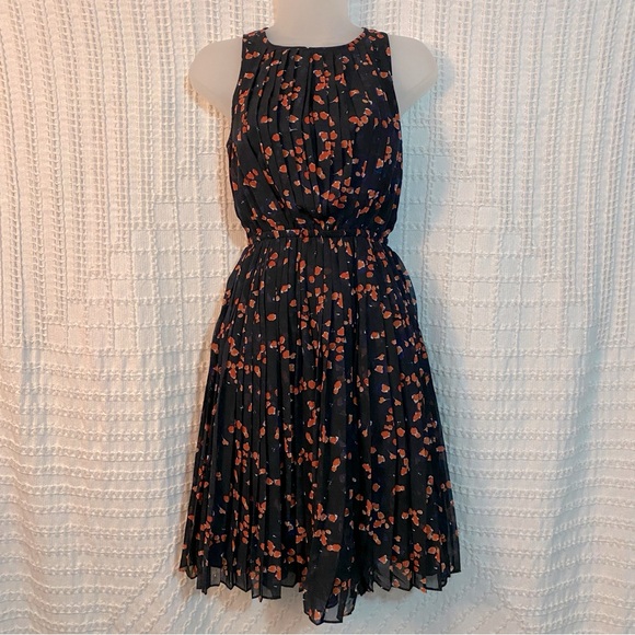 Ann Taylor Dresses & Skirts - Ann Taylor Petite Pleated Dress - Size 0P